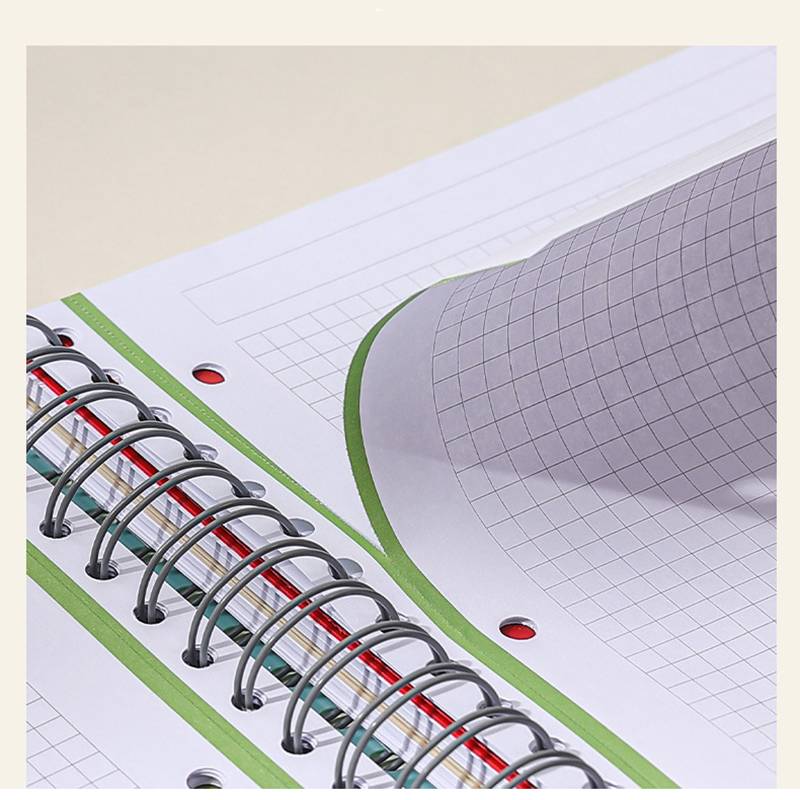 4 Subject Grid Notebook, A4, 240 Pages - Image 7