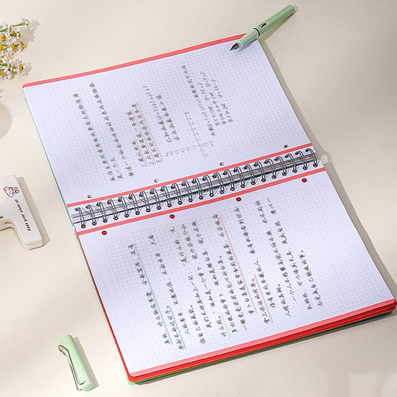 4 Subject Grid Notebook, A4, 240 Pages - Image 9