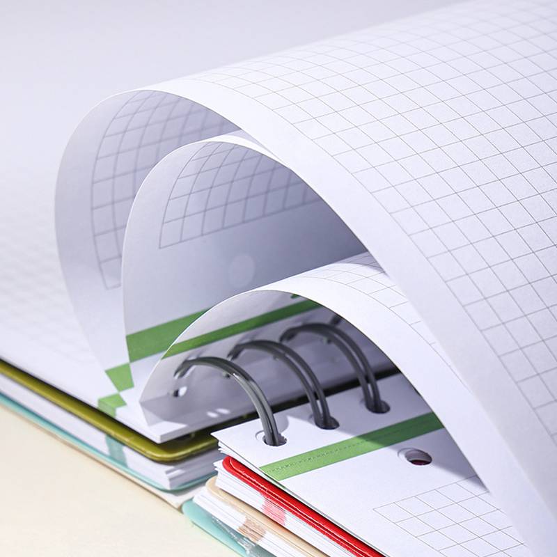 4 Subject Grid Notebook, A4, 240 Pages - Image 6